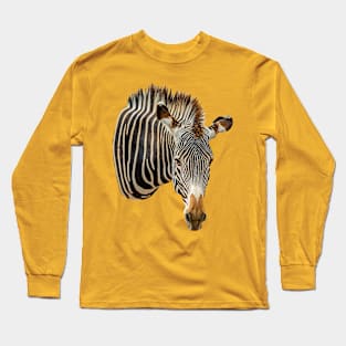 Zebra looking at you Long Sleeve T-Shirt